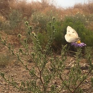 Meet your Posher, Hayleigh